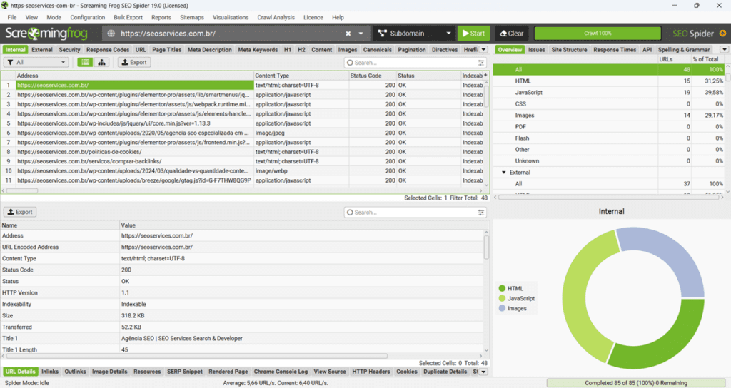 Dashboard inicial do Screaming Frog com dados de crawler da SEO Services.